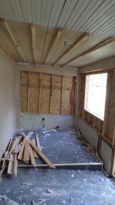 Old mudroom in process of being gutted.