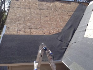 NewRoof_1