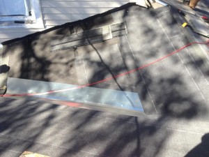 IMG954566